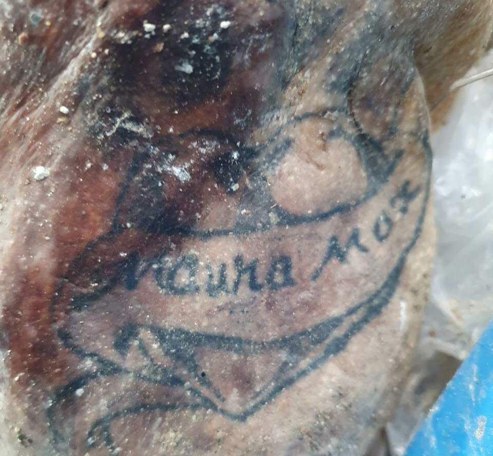 Perícia tenta identificar corpo concretado em tambor pela tatuagem Tatuagem no braço esquerdo é pista para identificação (Foto: Ponta Porã News)