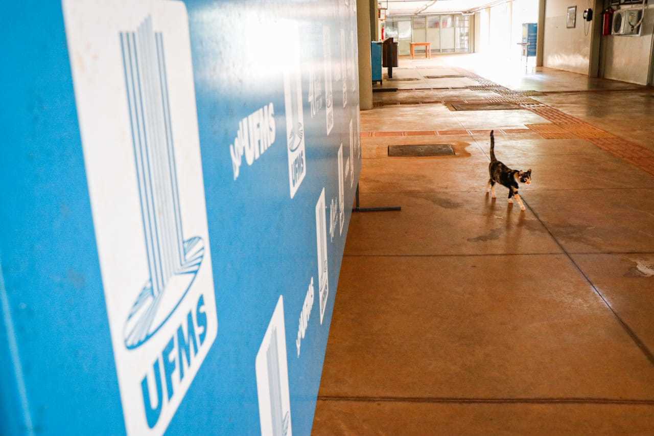 UFMS está com aulas presenciais suspensas desde maio do ano passado, em decorrência da pandemia de covid-19 (Foto: Henrique Kawaminami)